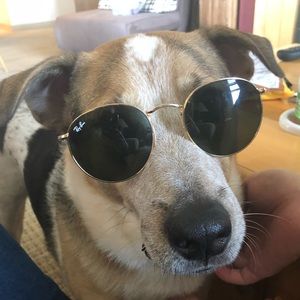 Meet your Posher, Eileen